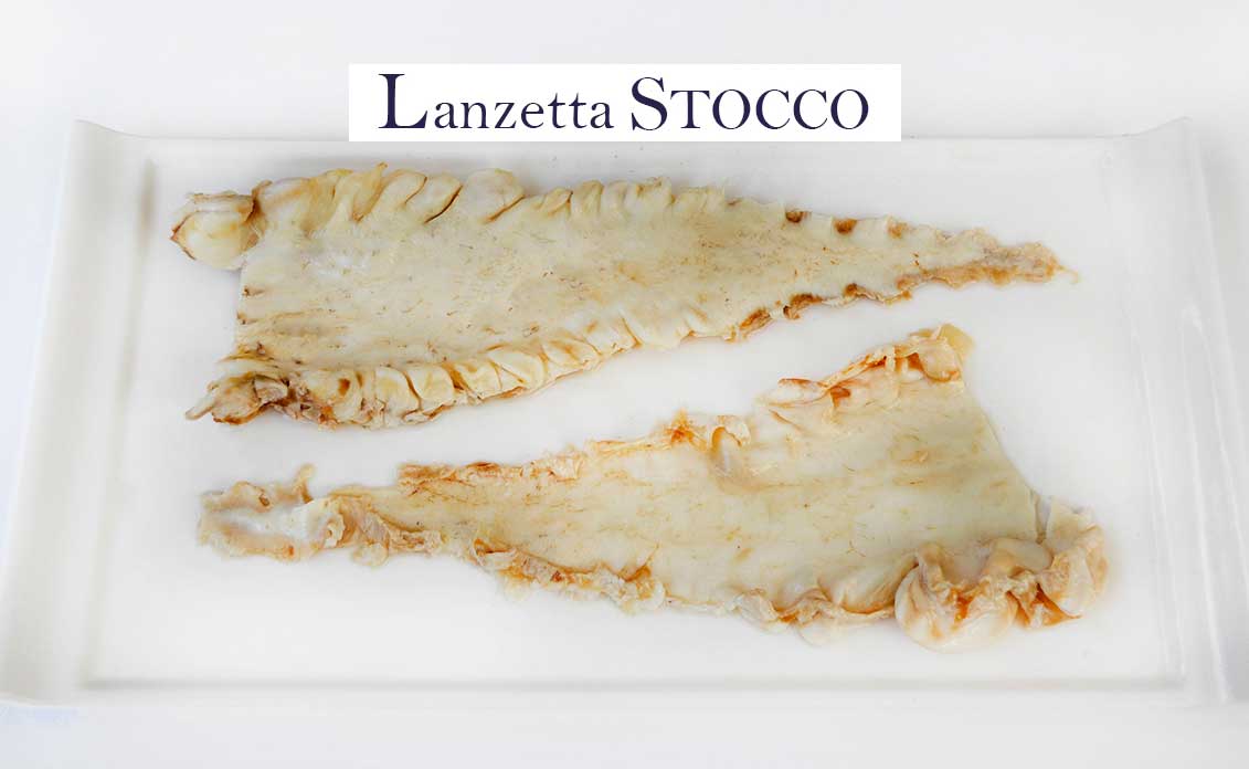trippe-di-stocco-lanzetta-mammola